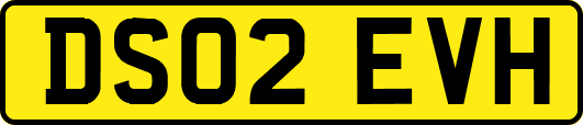 DS02EVH