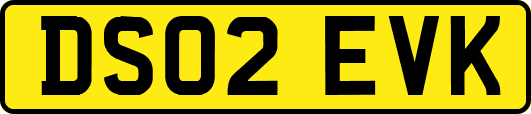 DS02EVK
