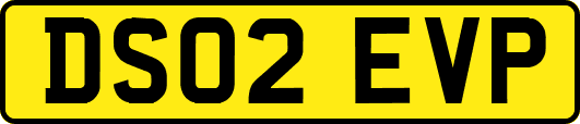 DS02EVP