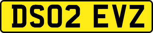 DS02EVZ