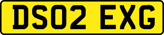 DS02EXG