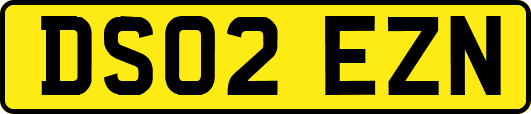 DS02EZN