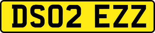DS02EZZ