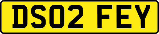 DS02FEY