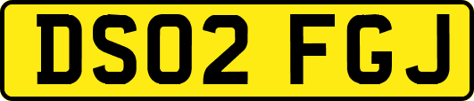 DS02FGJ