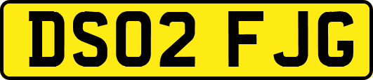 DS02FJG