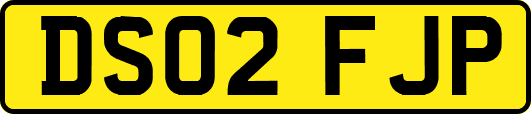 DS02FJP