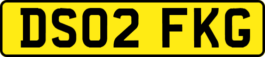 DS02FKG