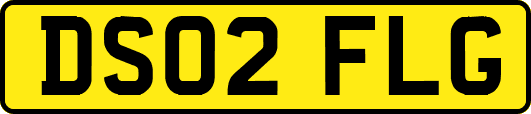 DS02FLG