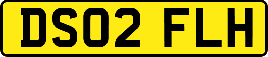 DS02FLH