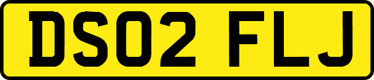 DS02FLJ