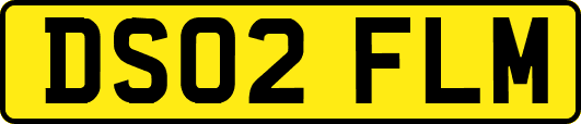 DS02FLM