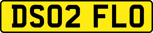 DS02FLO