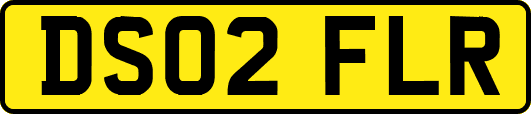DS02FLR