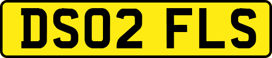DS02FLS