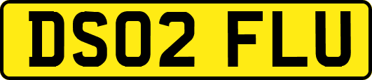 DS02FLU