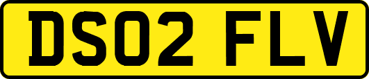 DS02FLV