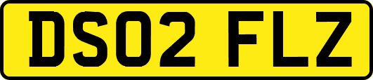 DS02FLZ