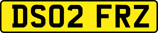 DS02FRZ