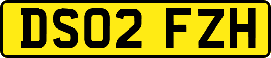 DS02FZH