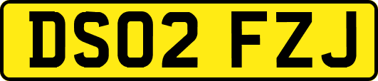 DS02FZJ