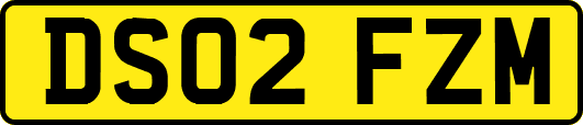 DS02FZM