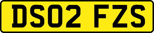 DS02FZS