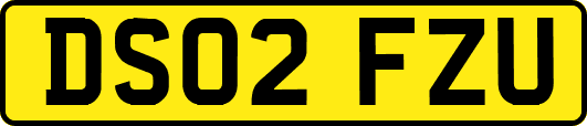 DS02FZU