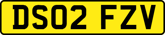 DS02FZV