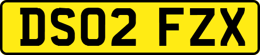 DS02FZX