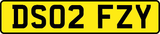 DS02FZY