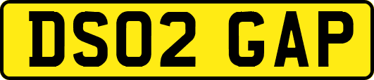 DS02GAP