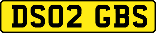 DS02GBS