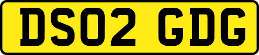 DS02GDG