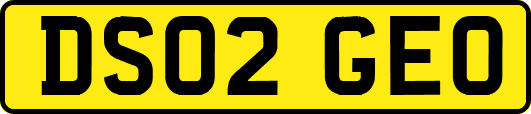 DS02GEO