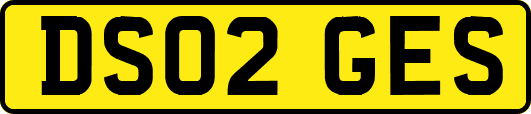 DS02GES