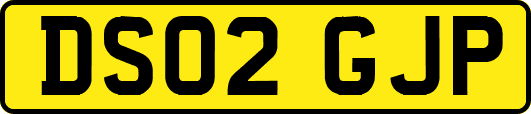 DS02GJP