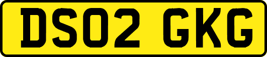 DS02GKG