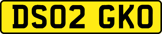 DS02GKO