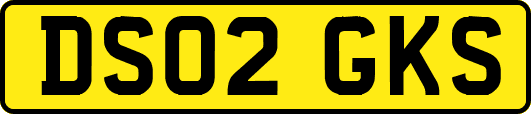 DS02GKS