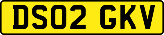 DS02GKV