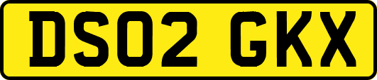 DS02GKX