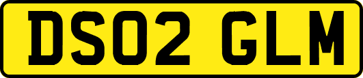 DS02GLM