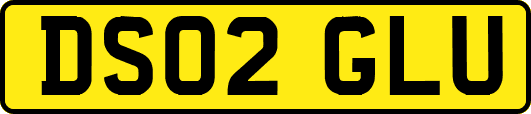 DS02GLU