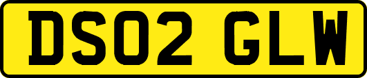 DS02GLW