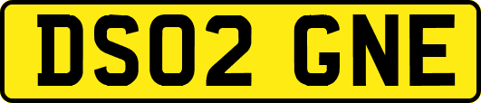 DS02GNE