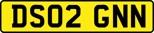DS02GNN