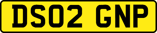 DS02GNP