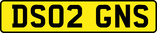 DS02GNS