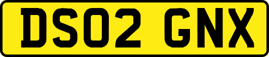 DS02GNX
